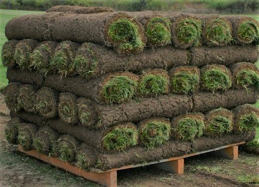 Sod Pallet 600 Square Feet With Delivery (NYC Area, Long Island, & NJ)