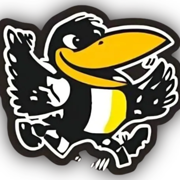 Cartoon bird with a yellow beak and wings spread.