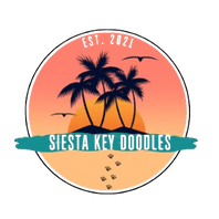 Siestakeydoodles