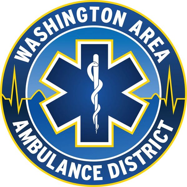 Evergreen Medic One Ambulance EMS Patch Washington WA –