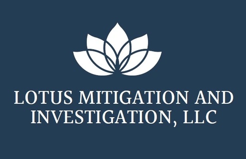 LOTUS MITIGATION 
& INVESTIGATION