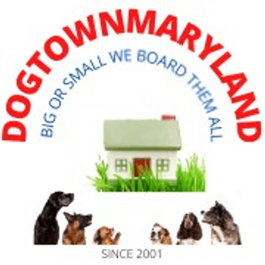 Dogtownmaryland.com
  