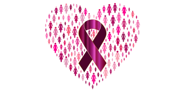 Mastectomy  Fran's Mastectomy Boutique