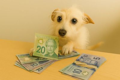 Wally paying his bills with cash