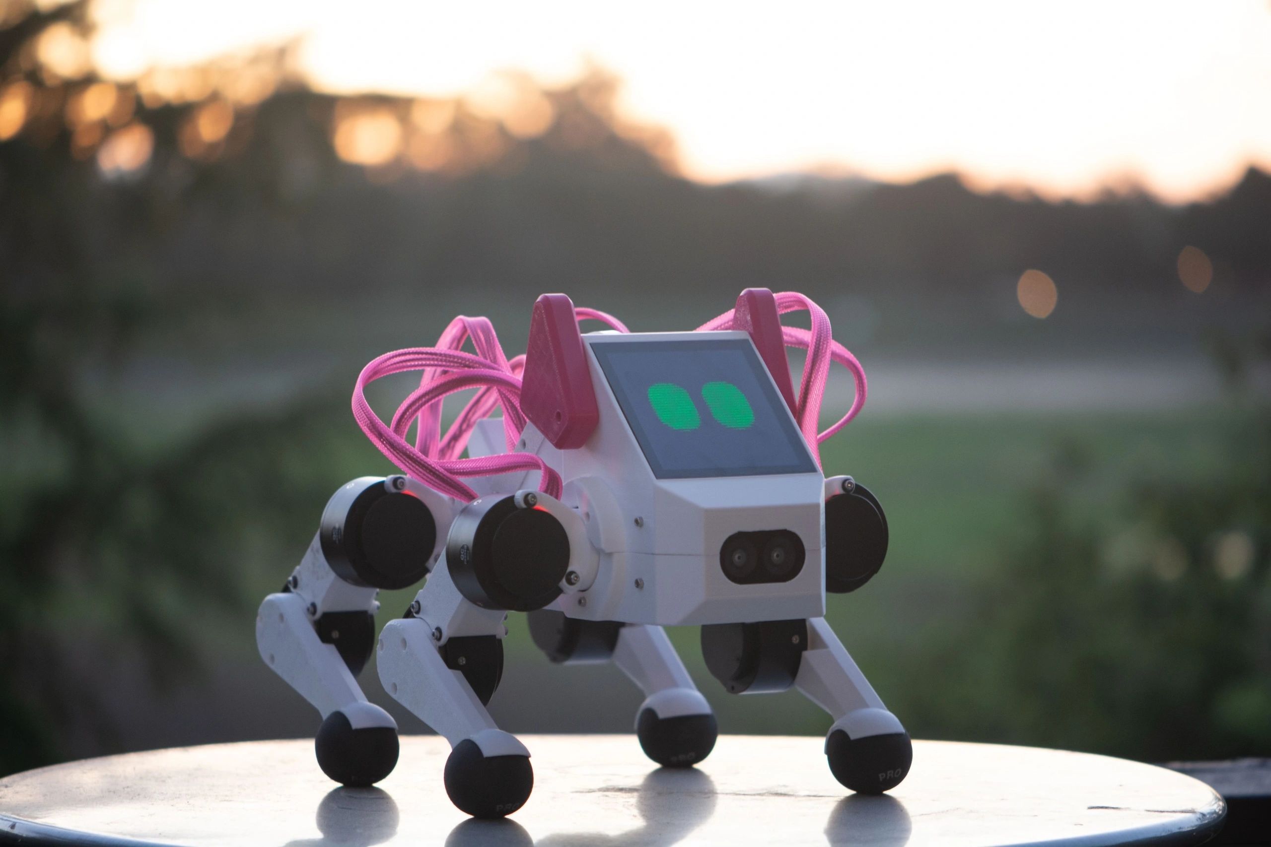 Open Source Curriculum