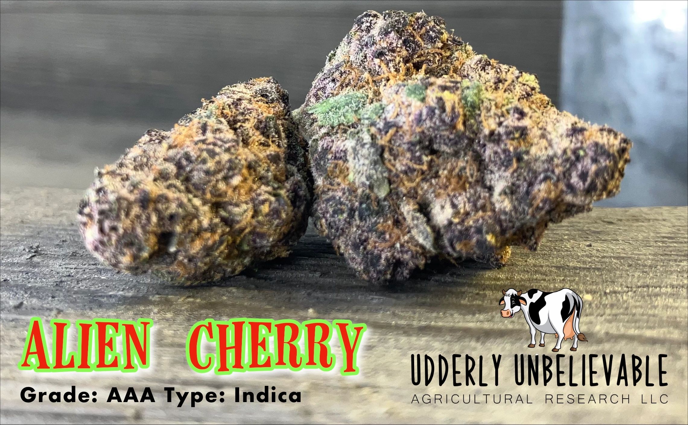 Close-up of Alien Cherry cannabis buds, Indica grade AAA.