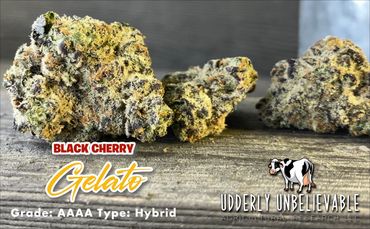 Close-up of Black Cherry Gelato cannabis buds on a wooden surface.