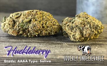 Close-up of Huckleberry Sativa buds.