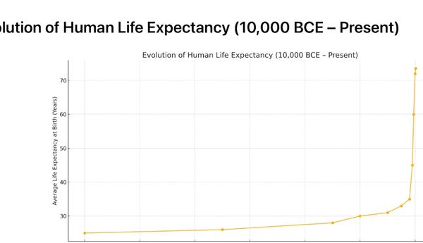 Graph of the evolution of life expectancy