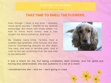 Click photo to view PDF.
