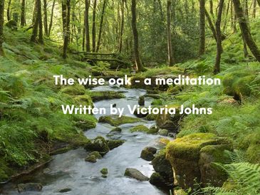 woodland stream The Wise Oak - a meditation written by Victoria Johns
