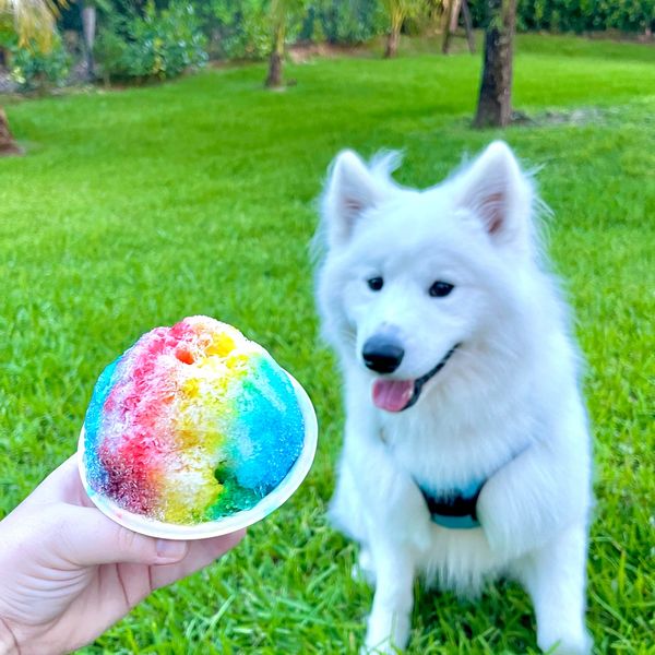shave ice