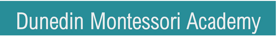 Dunedin Montessori Academy 