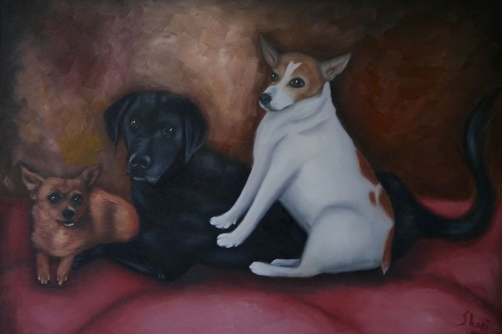 Family Dogs , dog, holy, 