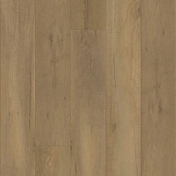 Echelon Basis XL - Timberline