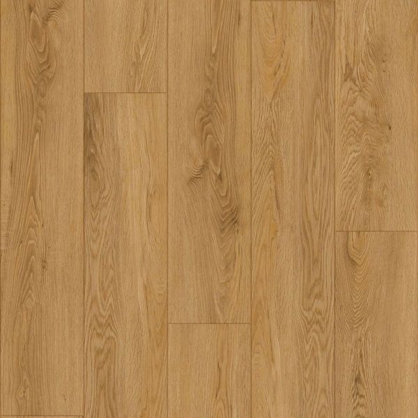 Echelon Basis XL - Oak Natural