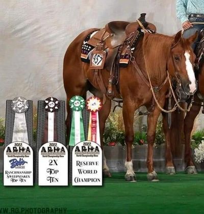 NRHA AQHA APHA Reining Horse
Alpha Wimpynicki