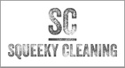 Squeeky Cleaning