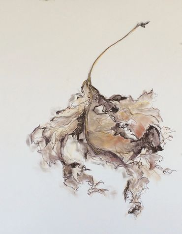 "Sunflower Leaf - #3
Charcoal and pastel drawing on paper
Framed and matted -33" x 27"
natural solid