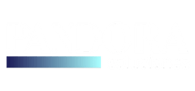 Pandora Soluciones