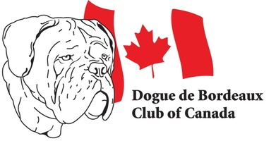 Doguedebordeauxcanada.ca