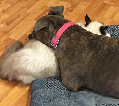 Bella and Boy Kat