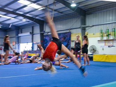Aerial Gymnastics Club