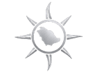 Platinum Future Logo