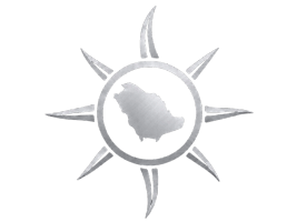 Platinum Future Logo