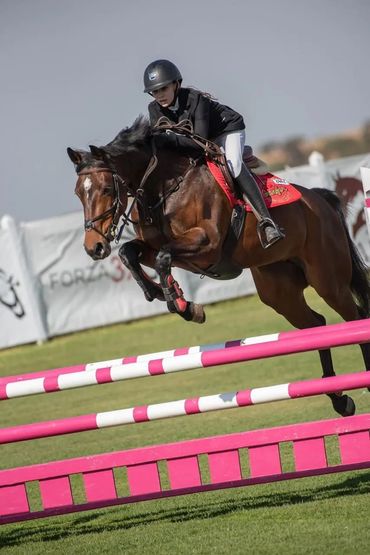 A girl sitting on the horse and Jumping the huddles