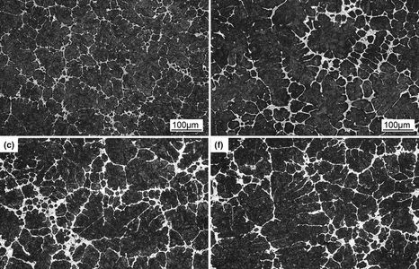 Dendritic carbide distribution in as-cast high speed steel microstructure.