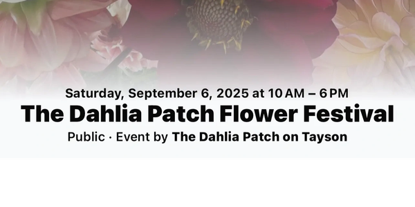 Announcement for The Dahlia Patch Flower Festival on September 6, 2025.