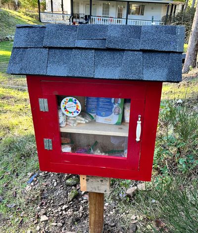 A red box with black shingled roof, with a see-through door where you can access menstrual product