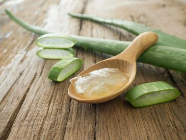 Aloe vera gel on a wooden spoon with fresh aloe leaves.