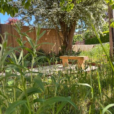 image of garden with bench and wildflower  planting