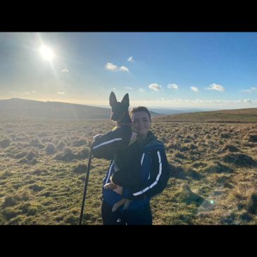 Person holding a dog in a sunny open field.