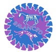 balancedhead2tail.com