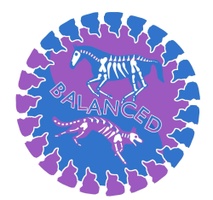 balancedhead2tail.com