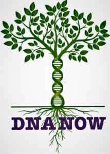 DNA Now Tree