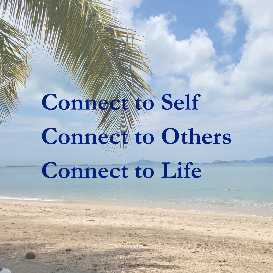 CONNECT COUNSELORS visual data 3