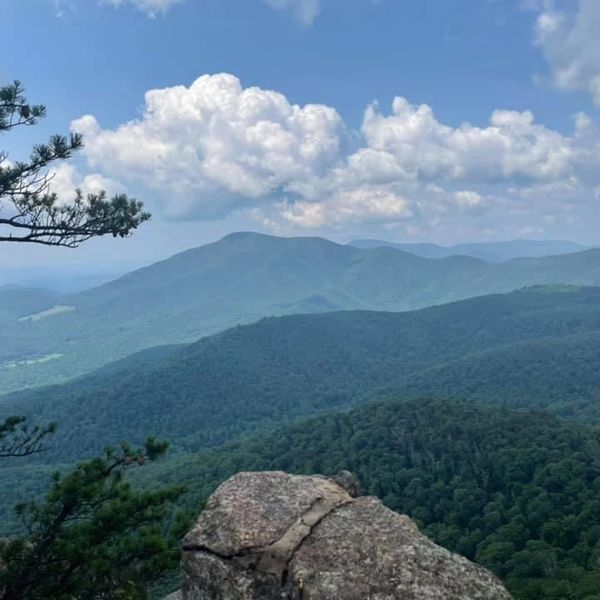 View from the Plunge... fantastic hiking trail! 