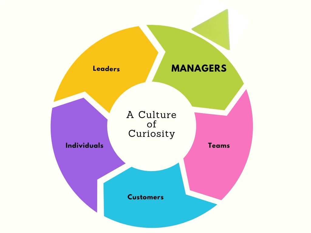 Colorful circular diagram illustrating 'A Culture of Curiosity' with five key groups.