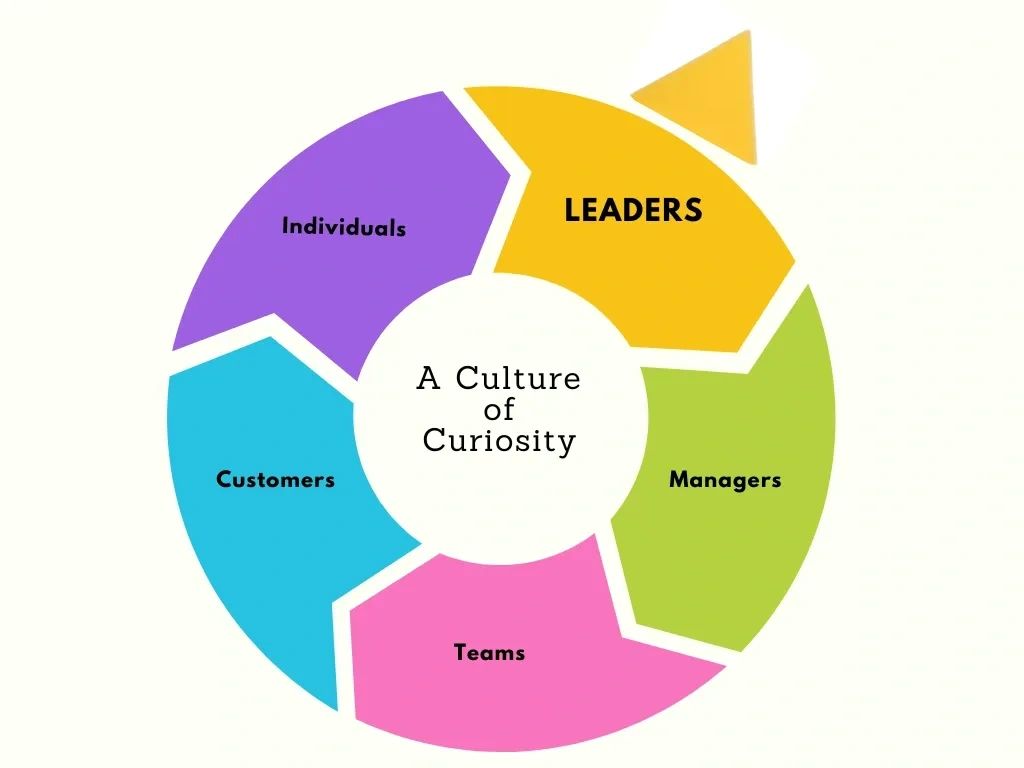 Colorful circular diagram showing 'A Culture of Curiosity' involving leaders, managers, teams, customers, and individuals.