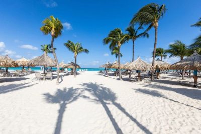Sunny tropical beach with palm trees and umbrellas.