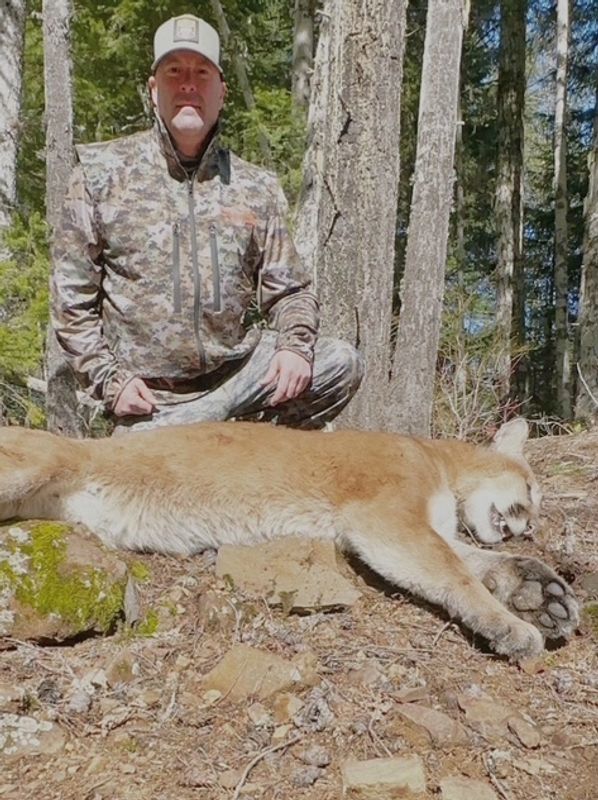 Hunter posing with a large mountain lion in a forest clearing.