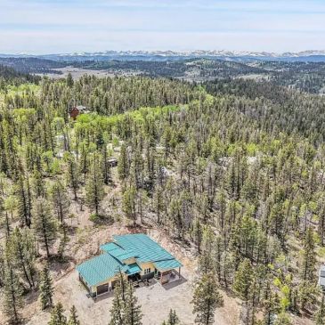 A cabin with a green roof surrounded by dense forest in a mountainous area.