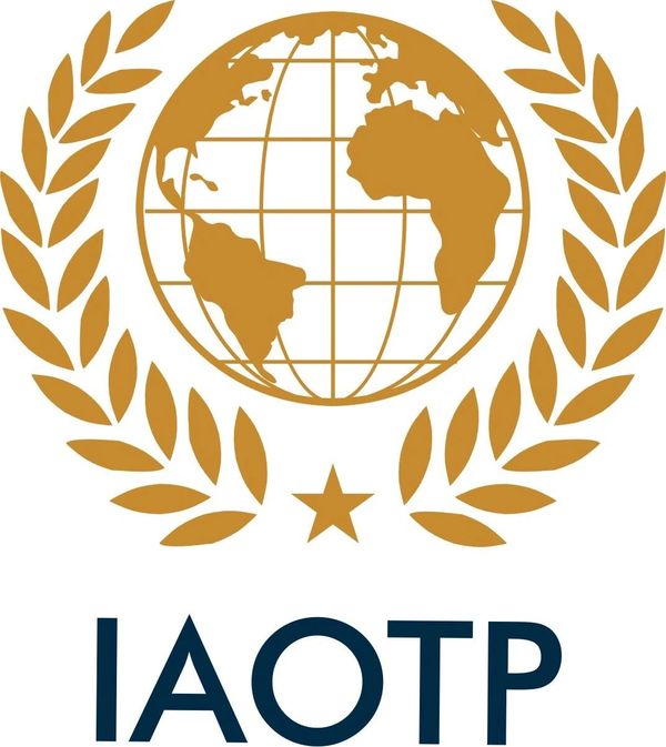International Associate of Top Professional Award Recipient