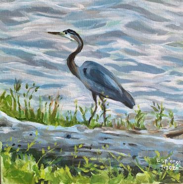 #ArtistSupportPledge_us
Exotic Birds
Blue Heron
Rivers and Marsh
