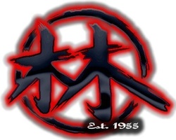 Hayashi's Martial Arts Academy