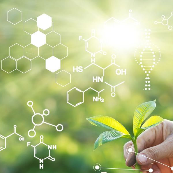 Plant Based Medicine, BioSciences, Plant Science